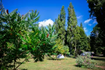 Pitch - Pitches For Tents, Caravans And Motorhomes With Reduced Mobility With Electricity - Camping d'Auberoche