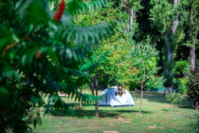 Pitches for tents, caravans and motorhomes with reduced mobility with electricity — 2