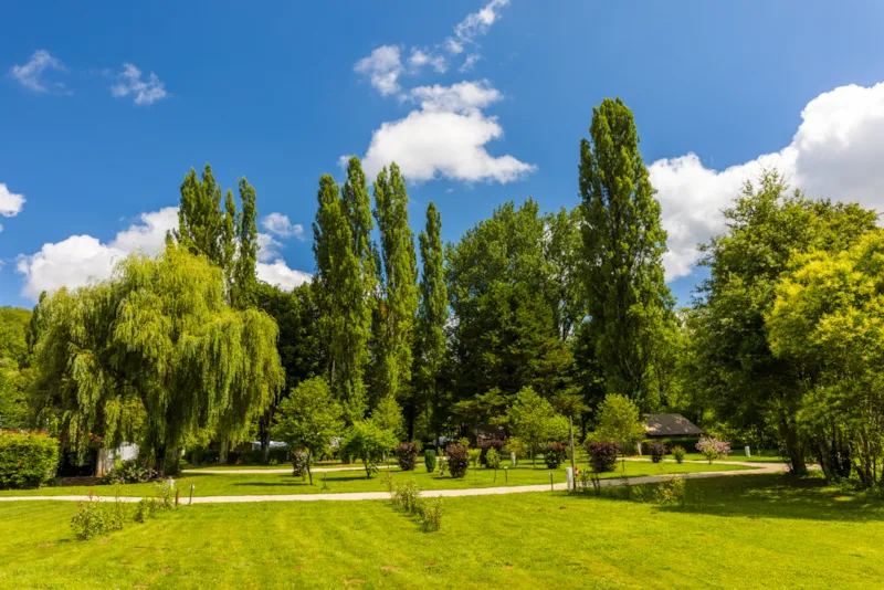 Emplacements  Pour Tente, Caravane Et Camping-Car Avec Électricité