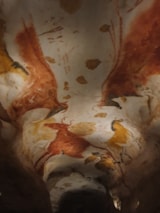 Foto #68 van Camping d’Auberoche