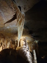 Foto #85 van Camping d’Auberoche