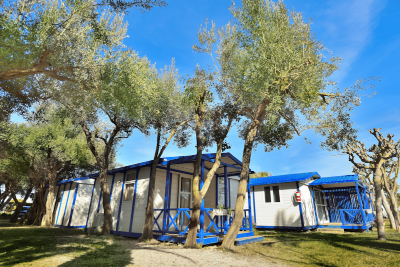 Bungalow PETIT TRIANON