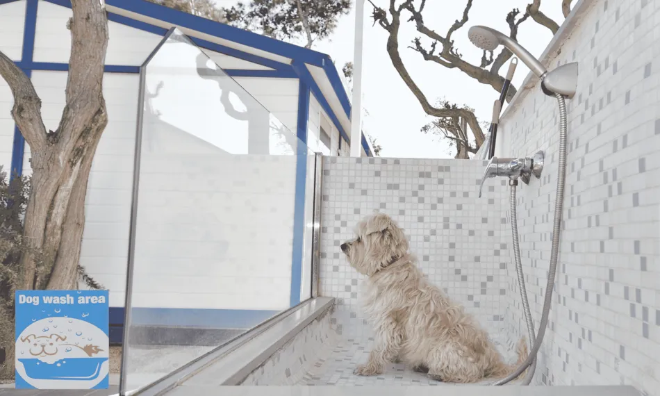 Camping & Bungalows Estanyet