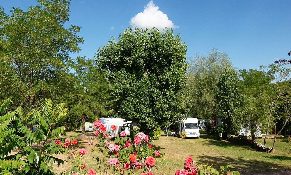 Stellplatz - Carte Acsi - Anwb - Adac - Camping L'Orée du Lac