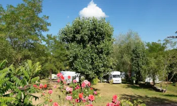 Kampeerplaats(en) - Carte Acsi - Anwb - Adac - Camping L'Orée du Lac
