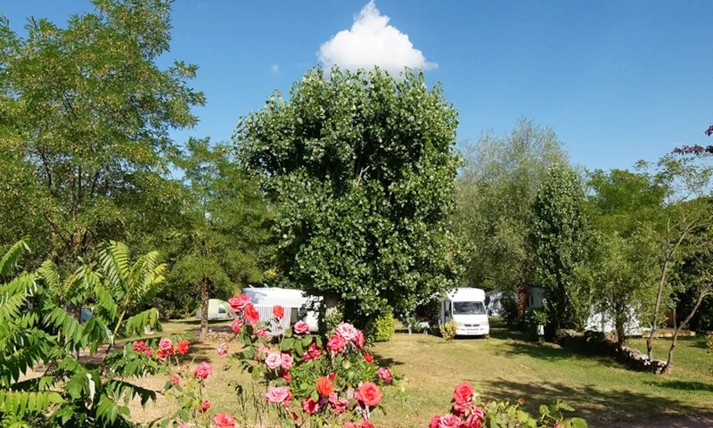 Emplacement Pour Camping-Car, Caravane, Fourgon Ou Van (Compris Dans Le Tarif : 2 Pers, Elec)