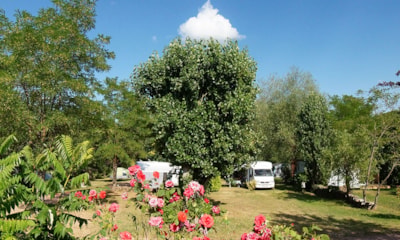 Pitch for motorhome, caravan or van (included in the rate: 2 pers., elec) — 3