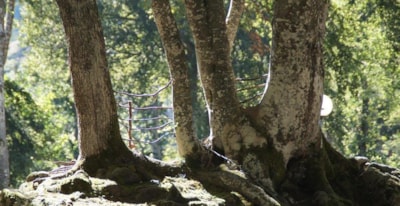 Nature Package (1 tent, caravan or motorhome)