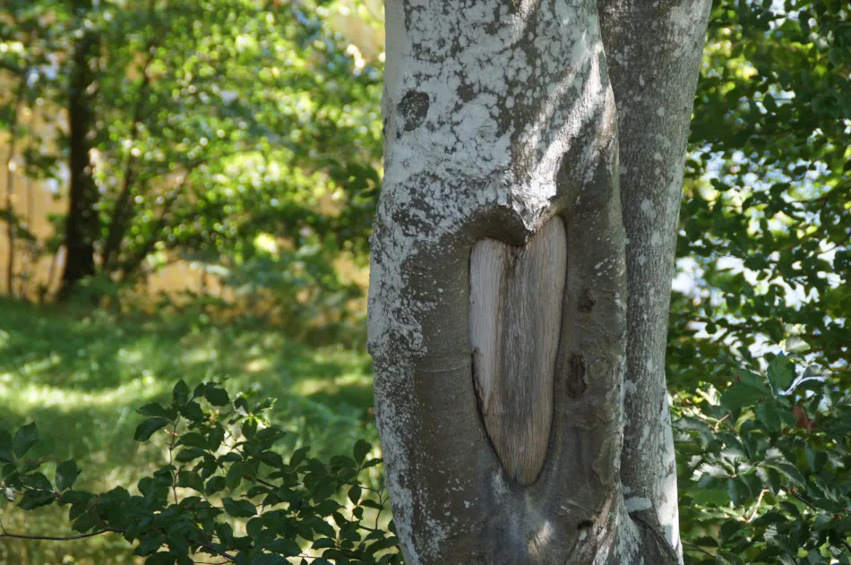 Camping Les Murmures du Lignon