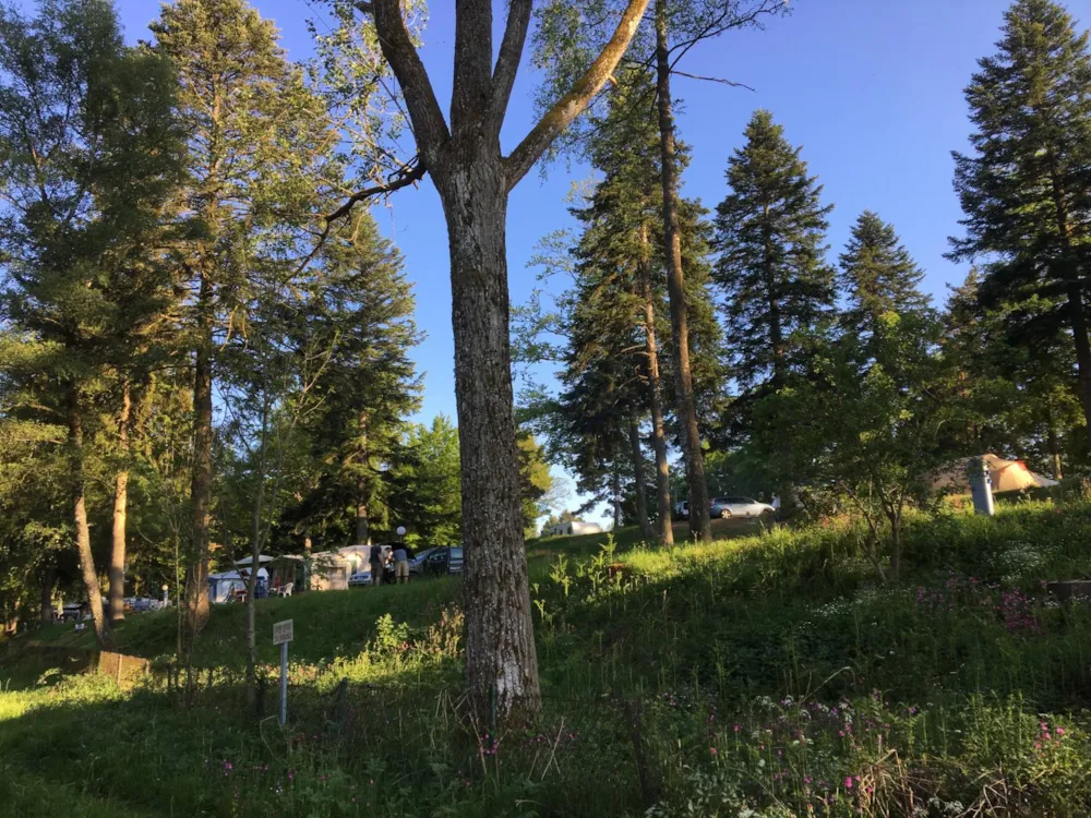 Emplacement - Acsi Camping Card - Camping Les Murmures du Lignon