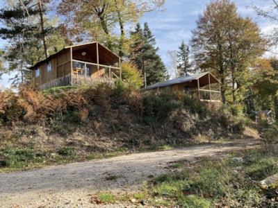Small cabin Confort 20m² (1 bedrooms) + sheltered terrace