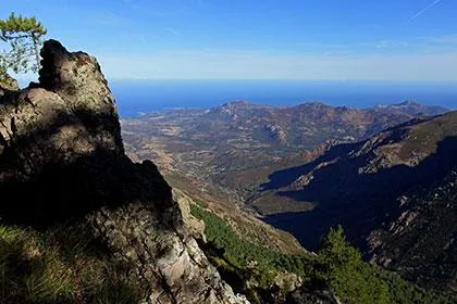 E Canicce - image n°48 - UniversalBooking