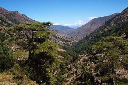 E Canicce - image n°49 - UniversalBooking