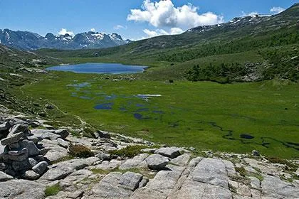 E Canicce - image n°50 - UniversalBooking