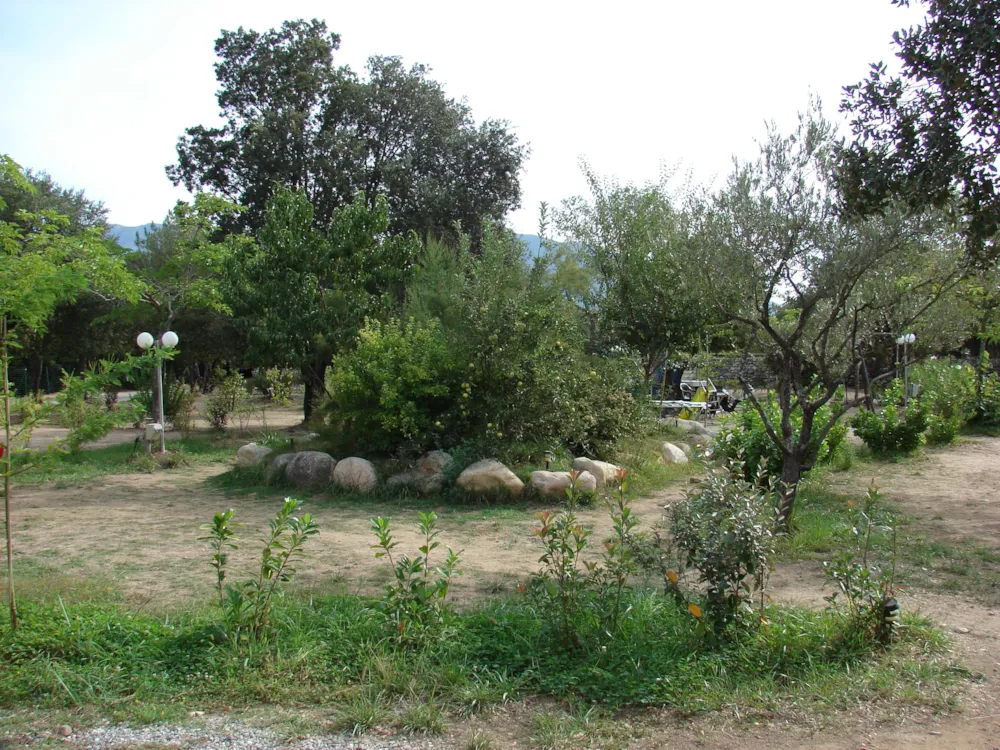 E Canicce - image n°5 - UniversalBooking