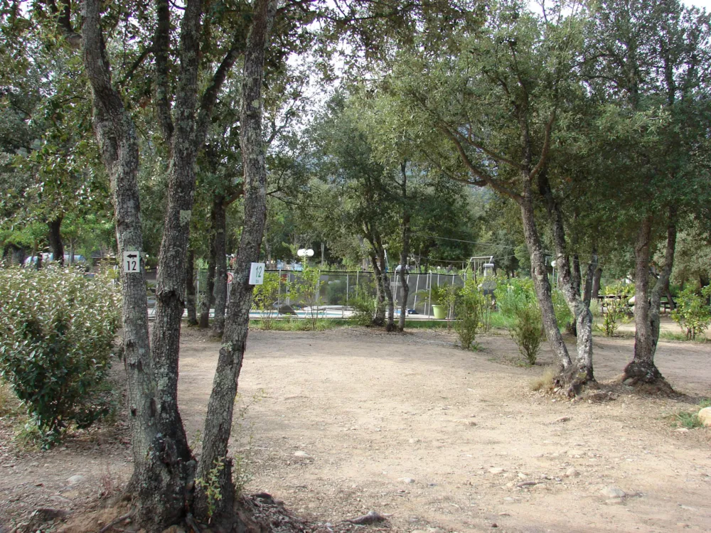 E Canicce - image n°27 - UniversalBooking