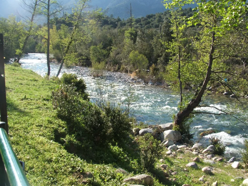 E Canicce - image n°28 - UniversalBooking