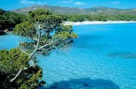 E Canicce - image n°15 - UniversalBooking