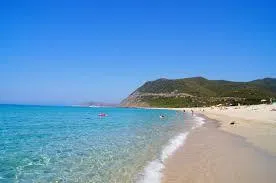 E Canicce - image n°16 - UniversalBooking