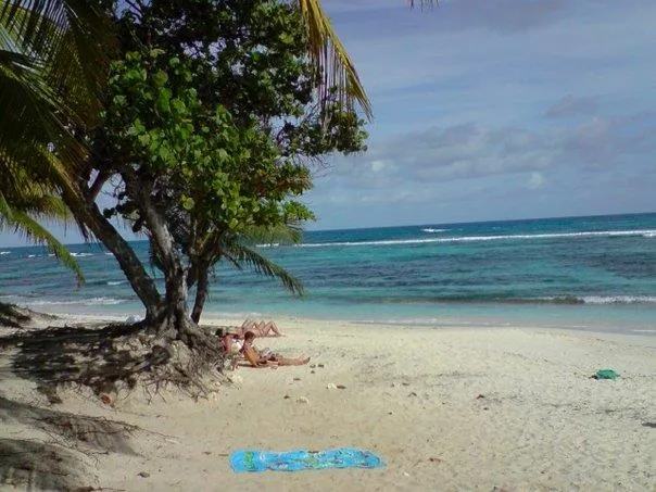 E Canicce - image n°13 - UniversalBooking