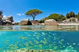 E Canicce - image n°21 - UniversalBooking