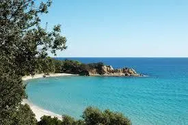 E Canicce - image n°20 - UniversalBooking