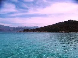 E Canicce - image n°14 - UniversalBooking