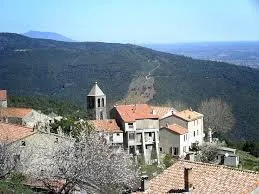 E Canicce - image n°55 - UniversalBooking