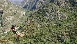 E Canicce - image n°46 - UniversalBooking