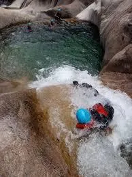 E Canicce - image n°41 - UniversalBooking