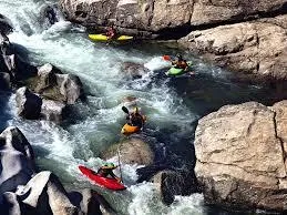 E Canicce - image n°37 - UniversalBooking