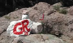 E Canicce - image n°42 - UniversalBooking