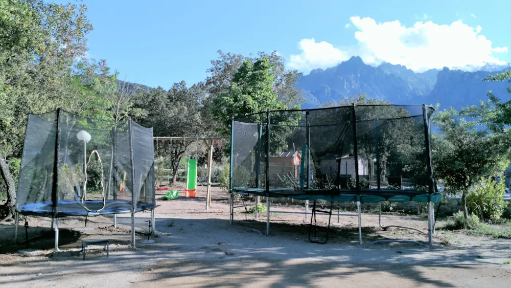 E Canicce - image n°33 - UniversalBooking