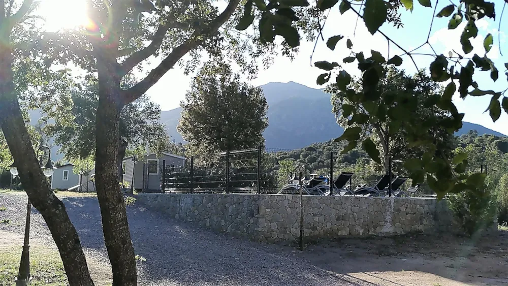 E Canicce - image n°34 - UniversalBooking