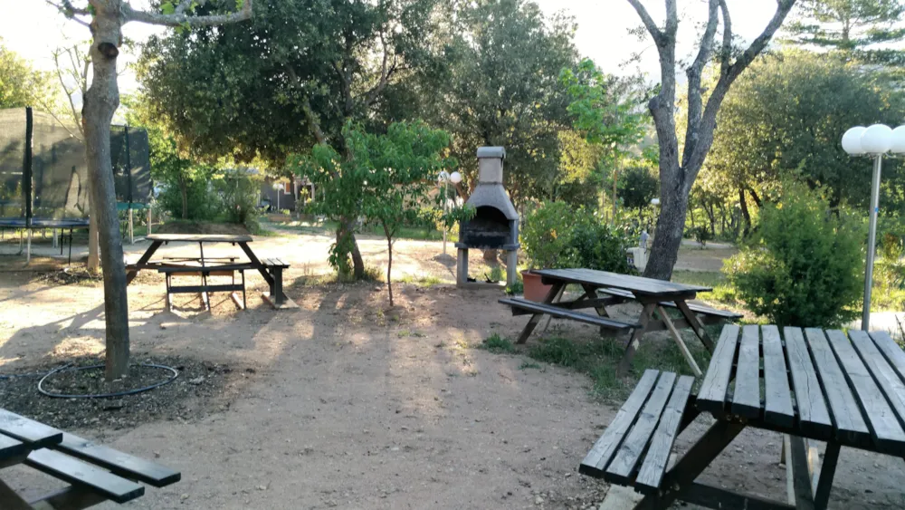 E Canicce - image n°22 - UniversalBooking