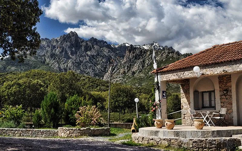 E Canicce - image n°9 - UniversalBooking