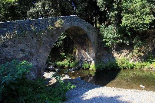 E Canicce - image n°29 - UniversalBooking