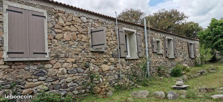 E Canicce - image n°7 - UniversalBooking