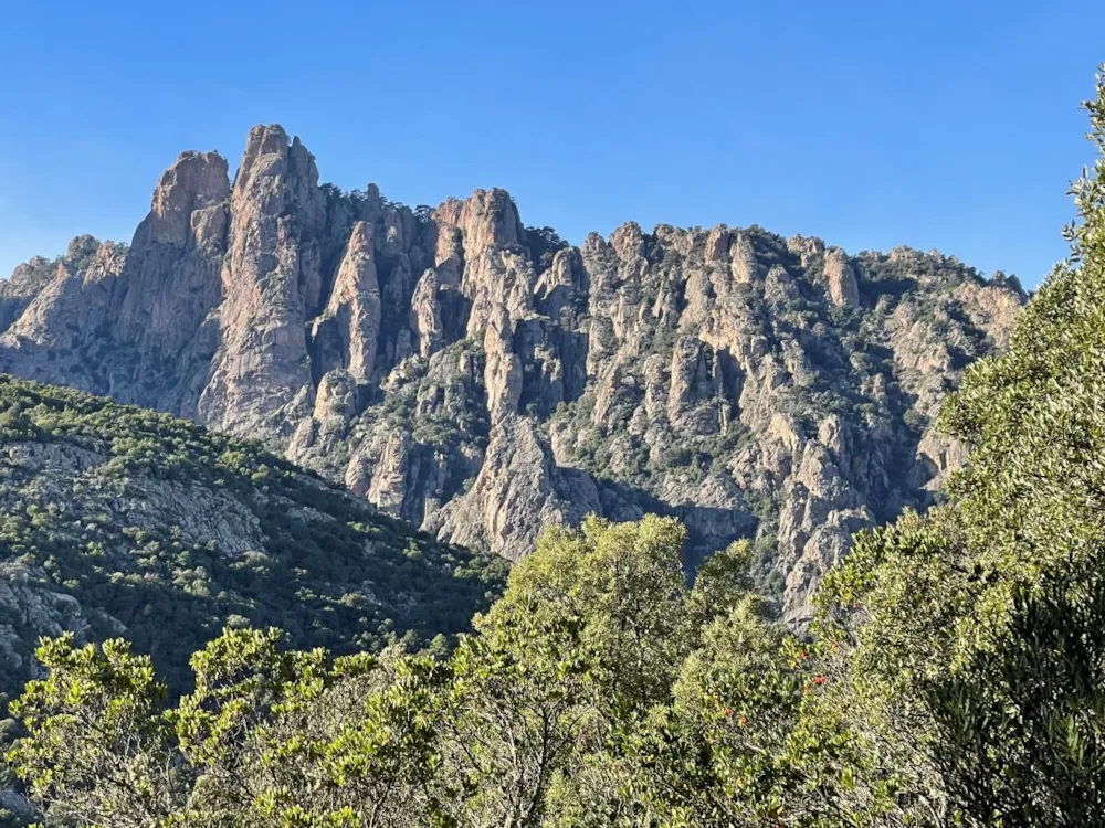 E Canicce - image n°11 - UniversalBooking