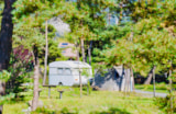 Foto #8 van Camping River