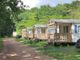 Foto #10 van Camping La Forêt