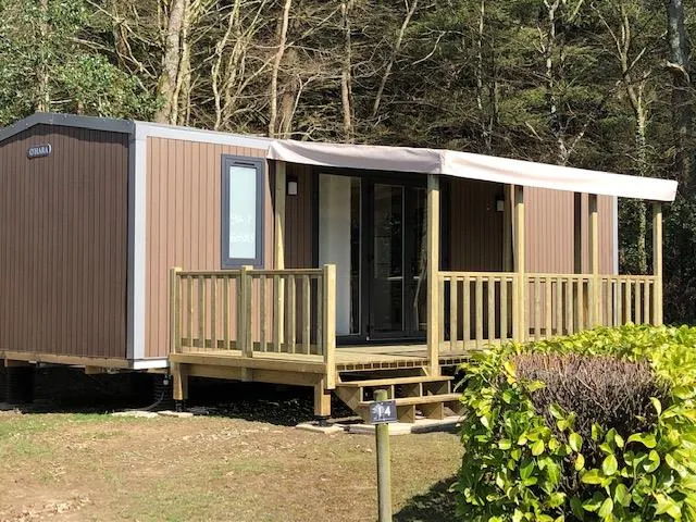 Huuraccommodatie(s) - Stacaravan O'hara 944 Privilege - 3 Slaapkamers - Camping La Forêt
