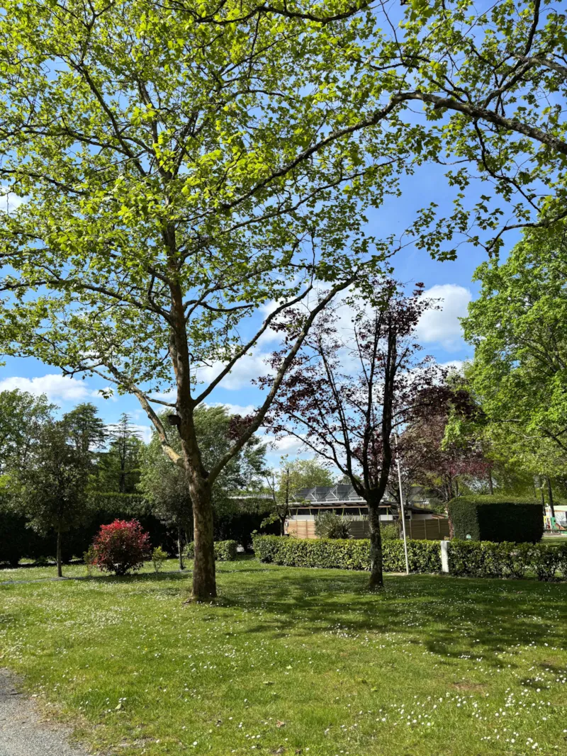 Forfait Confort (1 Tente, Caravane Ou Camping-Car / 1 Voiture / Électricité 16 A)