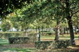 Piazzola Delimitata - Zona G, Classic Piazzola Delimitata - Zona G, Classic