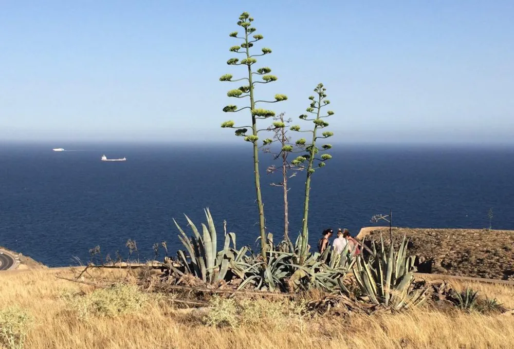 Stage De Yoga  - Week-End
