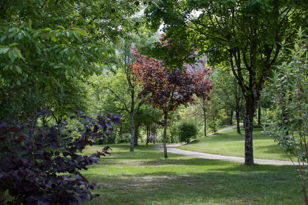 Camping du Gouffre de la Croix - image n°6 - Isere