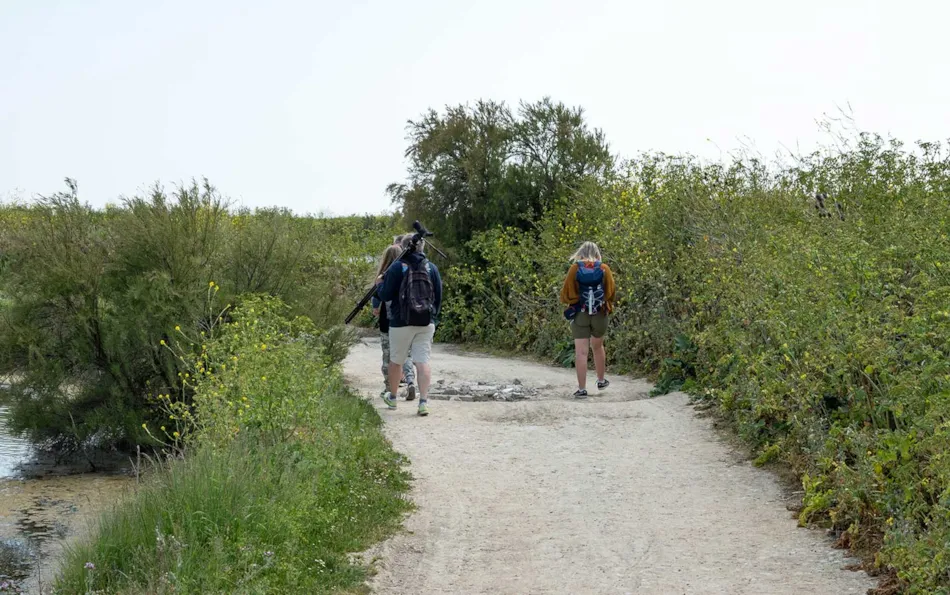 Camping Les Pérouses du Phare