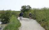 Foto #27 van Camping Les Pérouses du Phare