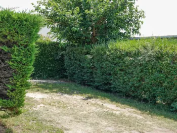 Emplacement - Forfait Emplacement Avec Véhicule + Électricité - Camping Les Pérouses du Phare