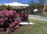 Foto #4 van Camping Royal
